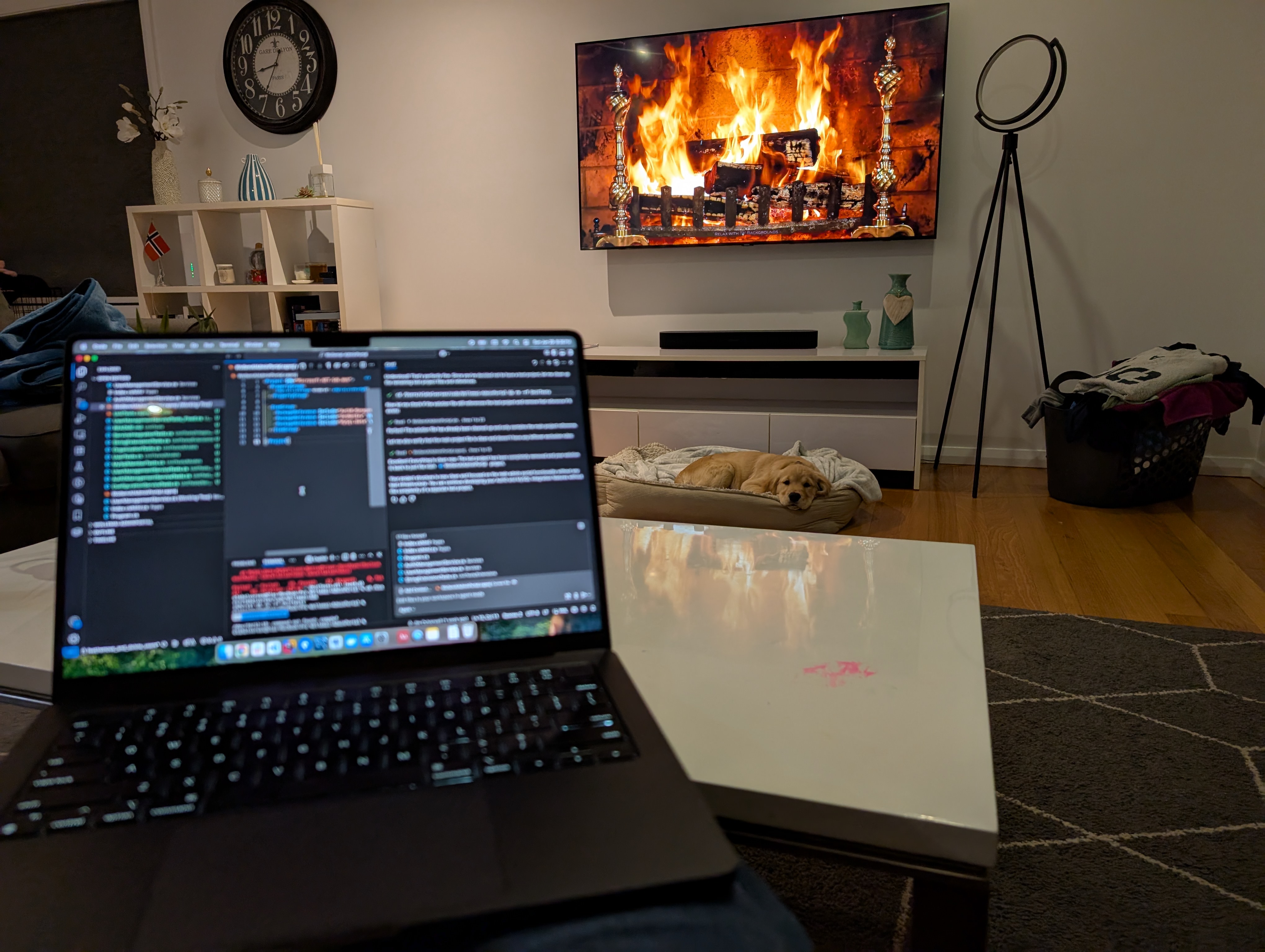 Cozy app development setup with Freya the dog